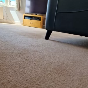Light-coloured fitted carpet in a living room beside upholstered furniture